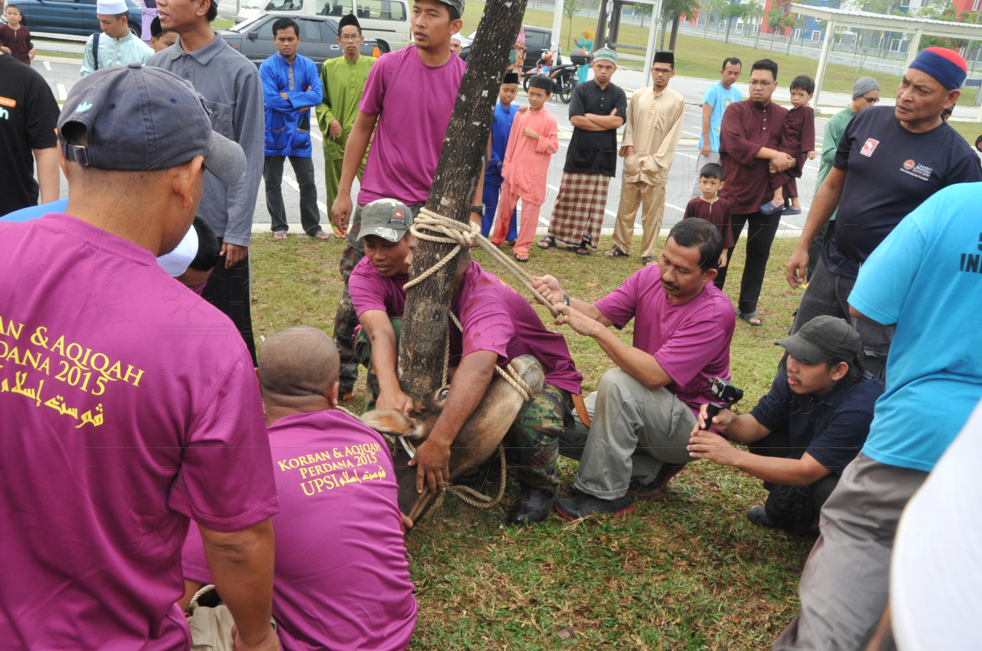 PRO15 150 KORBAN HAS 6746